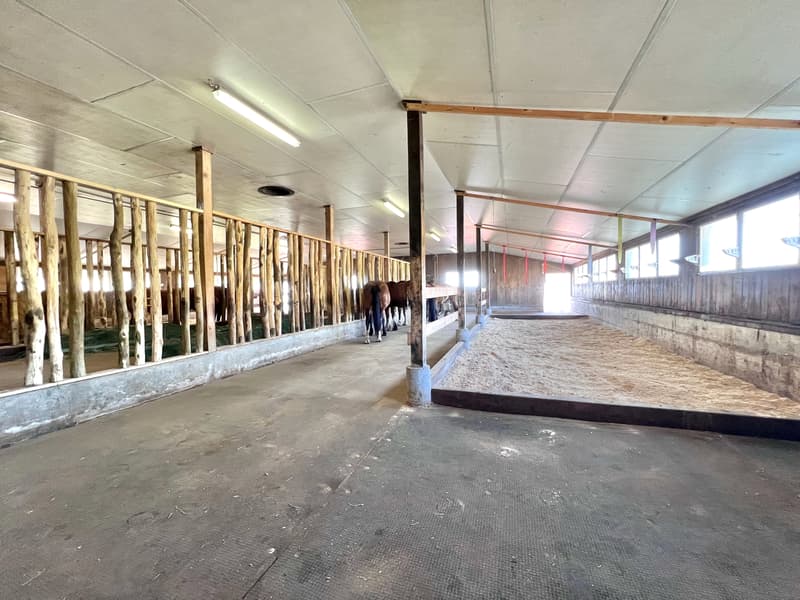 Altes Bauernhaus in Reiterhof umgewandelt (5)