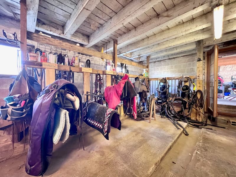 Altes Bauernhaus in Reiterhof umgewandelt (7)