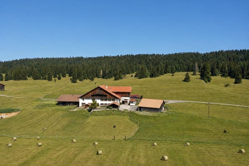 Altes Bauernhaus in Reiterhof umgewandelt (1)