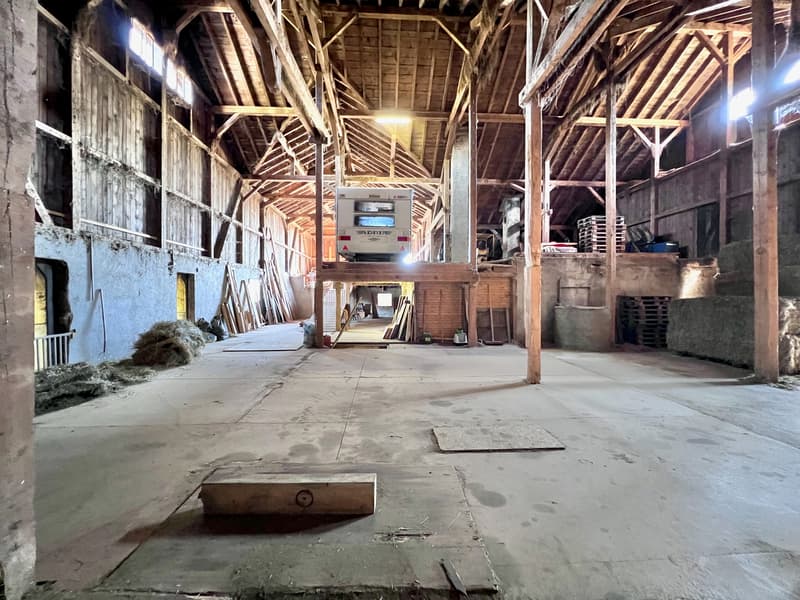Altes Bauernhaus in Reiterhof umgewandelt (9)