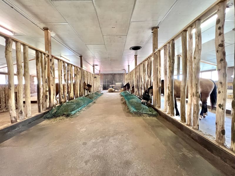 Altes Bauernhaus in Reiterhof umgewandelt (4)