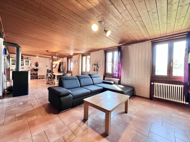 Altes Bauernhaus in Reiterhof umgewandelt (12)
