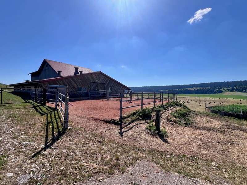 Altes Bauernhaus in Reiterhof umgewandelt (2)