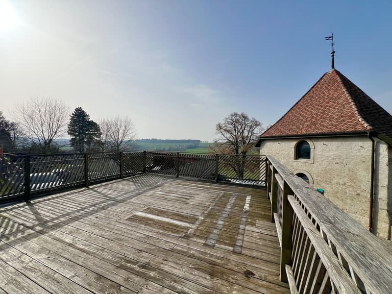 Atypisches Appartement groß 2,5 Zimmer mit großer Terrasse (1)