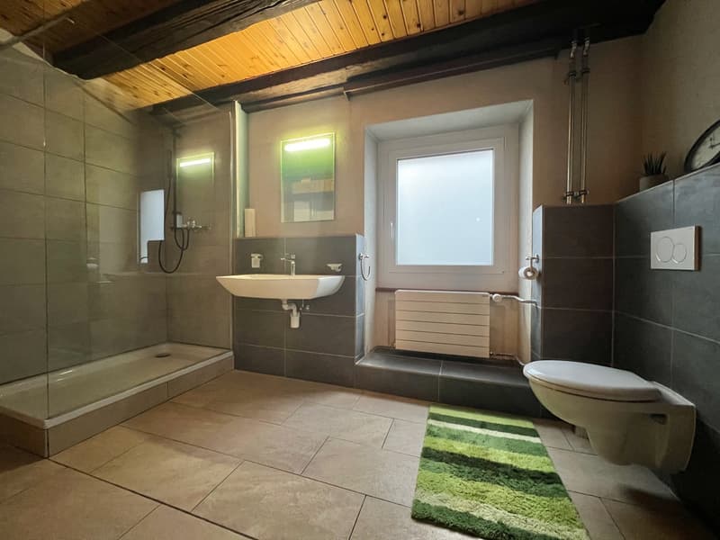 Maison villageoise 140 m2 hab. + grand jardin (8)