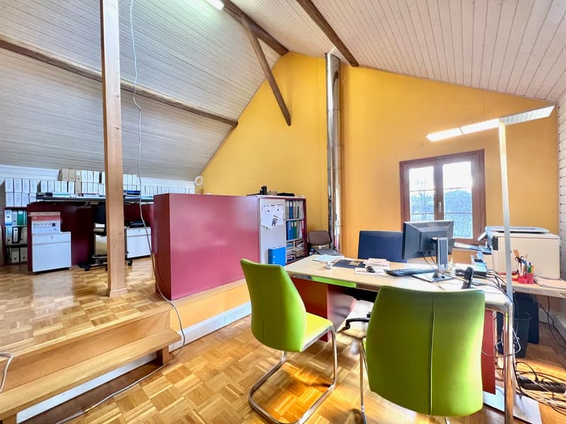 Ferme équestre 4,5 pièces, écurie, paddock, parcs (4)