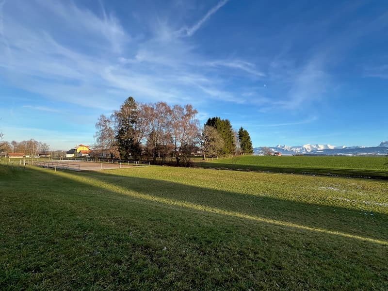 Ferme équestre 4,5 pièces, écurie, paddock, parcs (1)