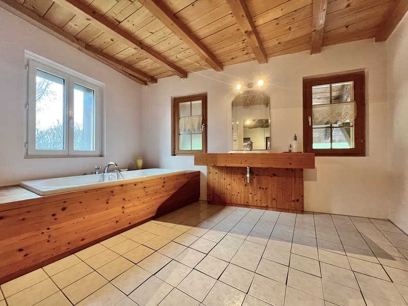 Ferme équestre 4,5 pièces, écurie, paddock, parcs (5)
