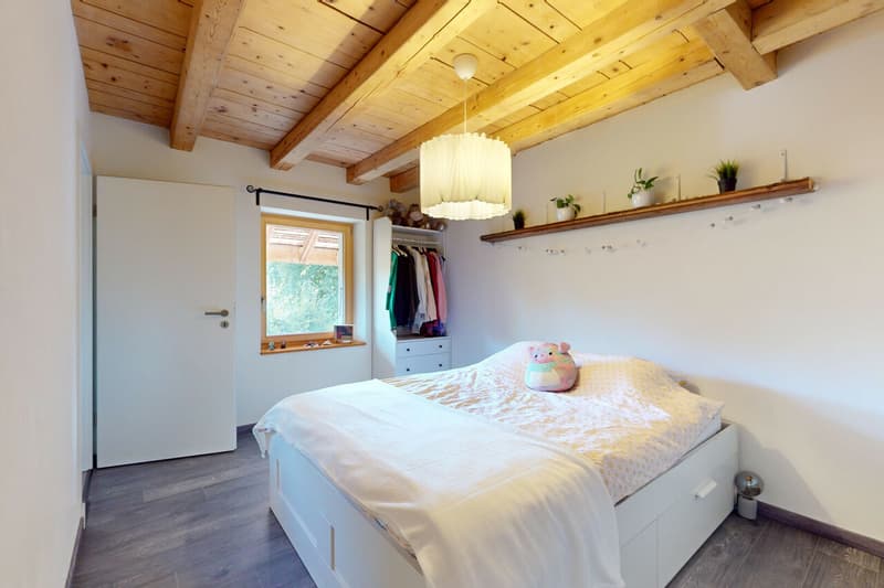 Magnifique ferme rénovée de 3 logements et d'une écurie (13)