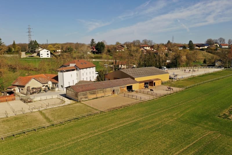 RARE- Propriété équestre de luxe sur la frontière genevoise (11)