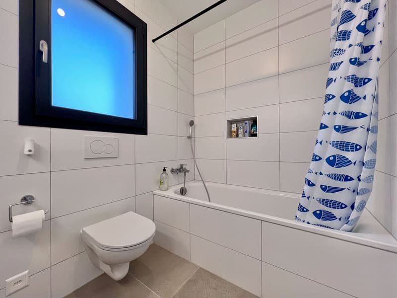 Magnifique villa individuelle familiale de 165 m2 avec jardin (8)