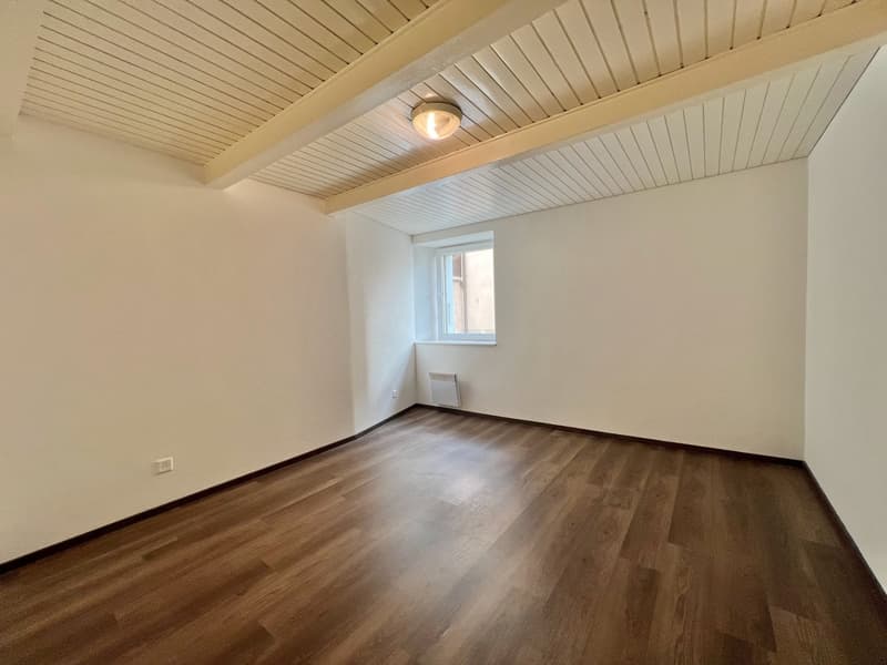 Appartement atypique grand 2,5 pièces avec grande terrasse (6)
