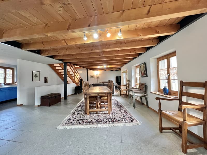 Ferme équestre 4,5 pièces, écurie, paddock, parcs (3)