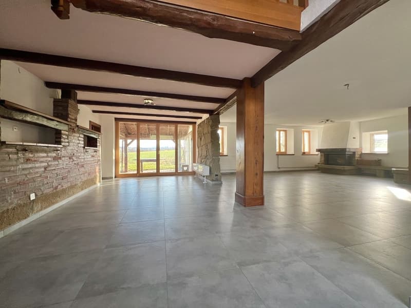 Ferme transformée en 2 spacieux appartements (4)