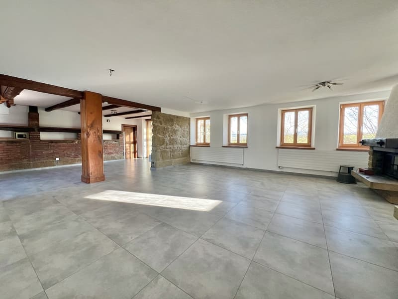 Ferme transformée en 2 spacieux appartements (3)