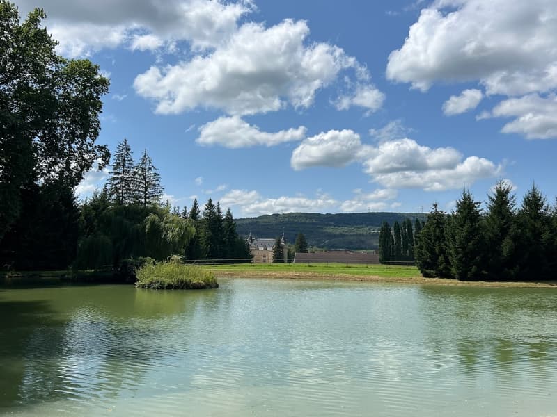 Magnifique Château sur 132 hectares (11)