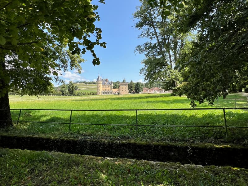 Magnifique Château sur 132 hectares (2)