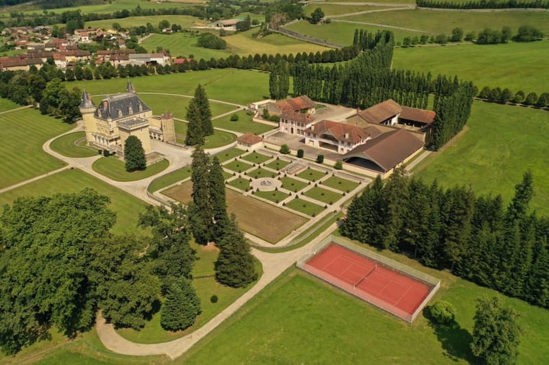 Magnifique Château sur 132 hectares (6)
