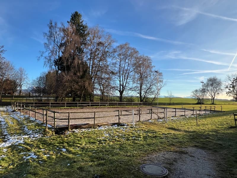 Ferme équestre 4,5 pièces, écurie, paddock, parcs (1)