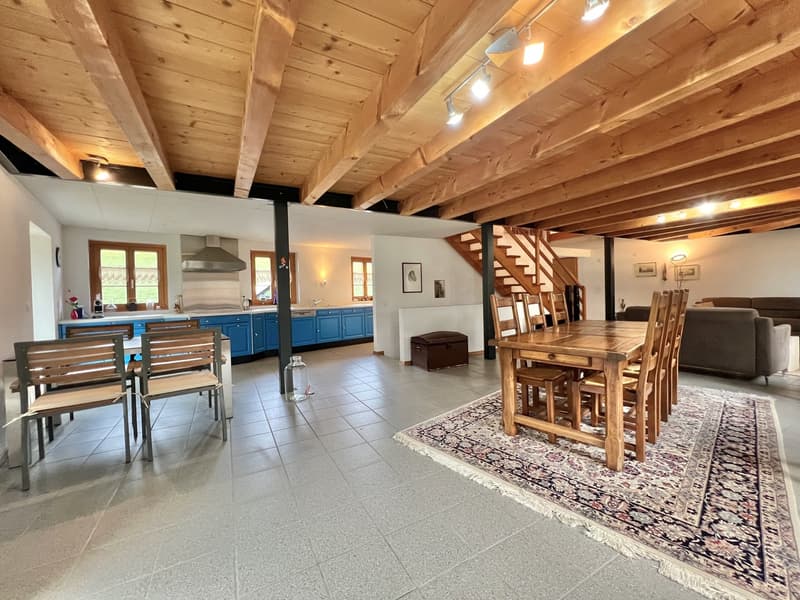 Ferme équestre 4,5 pièces, écurie, paddock, parcs (2)