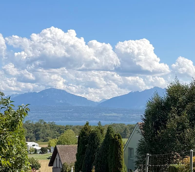 Vue lac depuis le jardin