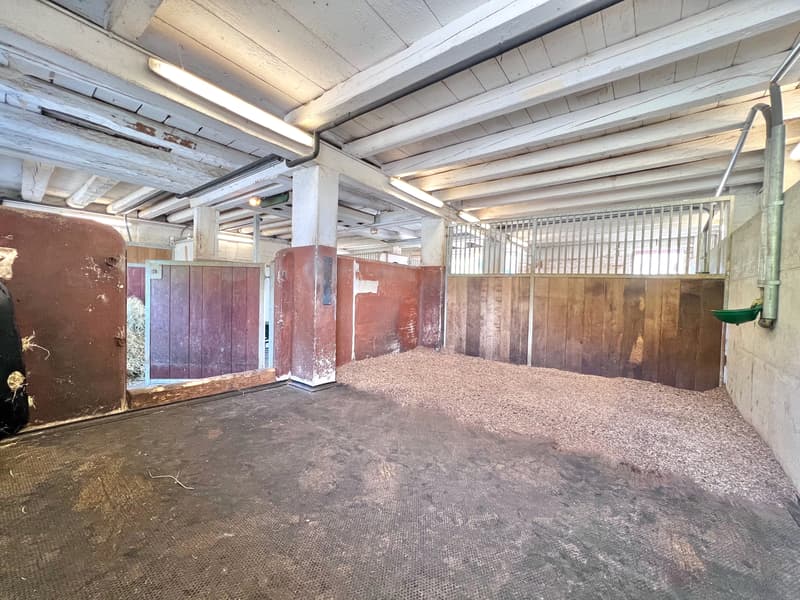 À vendre, Ferme, 1649 Pont-la-Ville, Réf 6270477 (13)