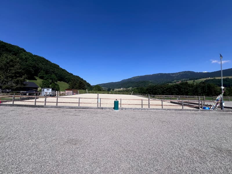 À vendre, Ferme, 1649 Pont-la-Ville, Réf 6270477 (8)