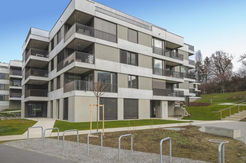 Crissier - Beautiful new space for rent (2)