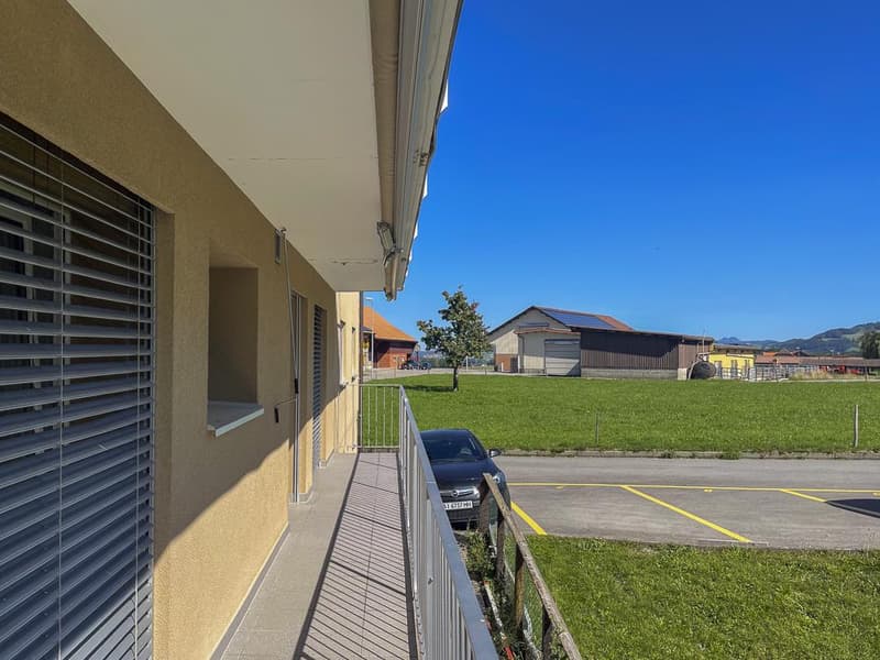 Appartamento di 3.5 locali ristrutturato in zona tranquilla (10)