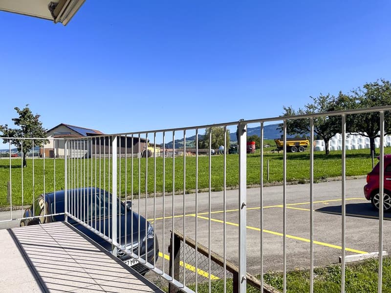Appartamento di 3.5 locali ristrutturato in zona tranquilla (12)
