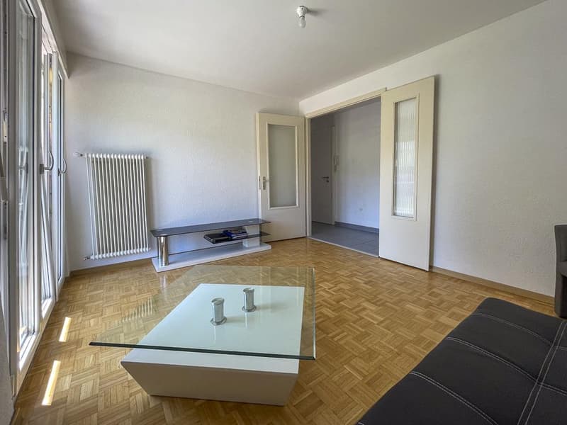 Appartamento di 3.5 locali ristrutturato in zona tranquilla (8)