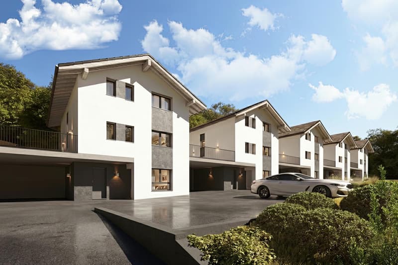 Nuova Promozione "Les Collondels": 5 Ville Familiari Spaziose con 6,5 Locali e Studio Indipendente a Surpierre (4)