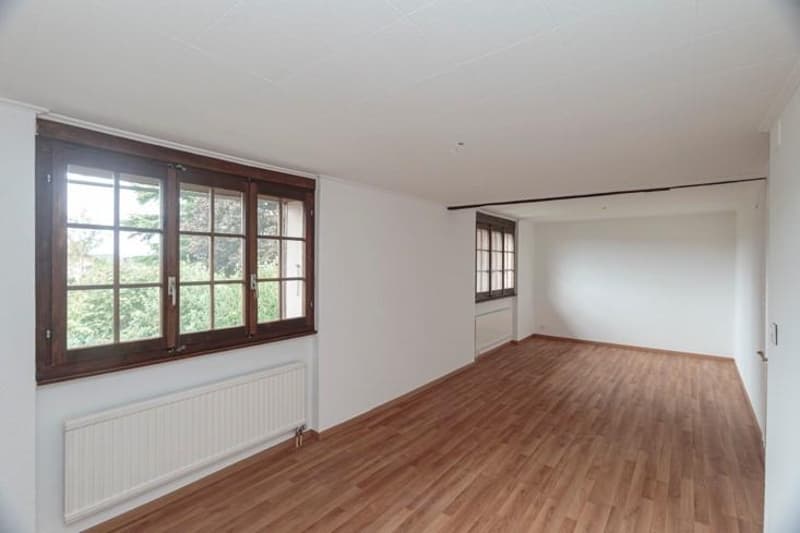 Rental property with 3 apartments and great development potential (13)