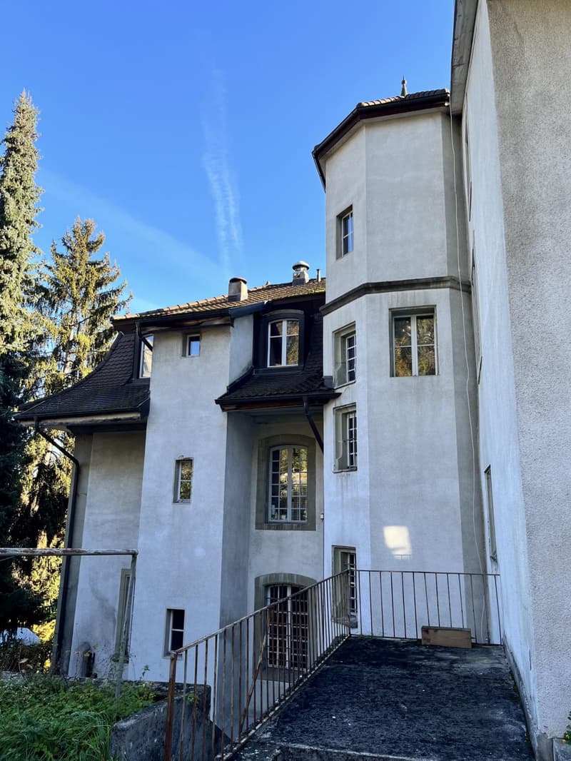 Charmantes Studio im Zentrum von Freiburg, ideal für Studenten (3)