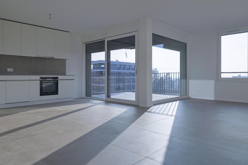 Dernière opportunité - MINERIS - Appartement de 4.5 pièces moderne (3)