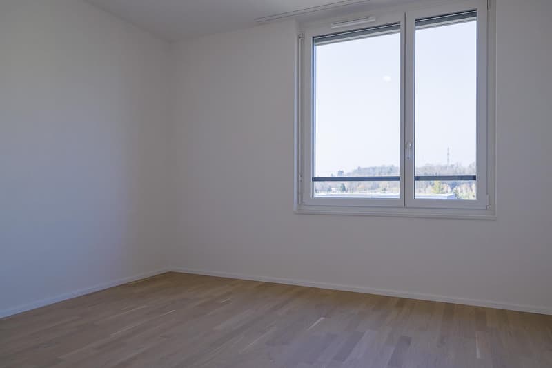 Dernière opportunité - MINERIS - Appartement de 4.5 pièces moderne (7)