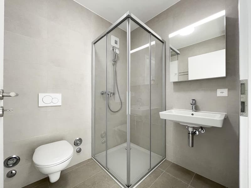 Dernière opportunité - MINERIS - Appartement de 4.5 pièces moderne (6)