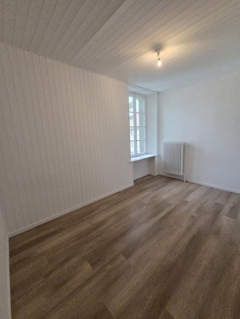 Delizioso appartamento di 2 locali nel centro di Friburgo, ideale per studenti (3)