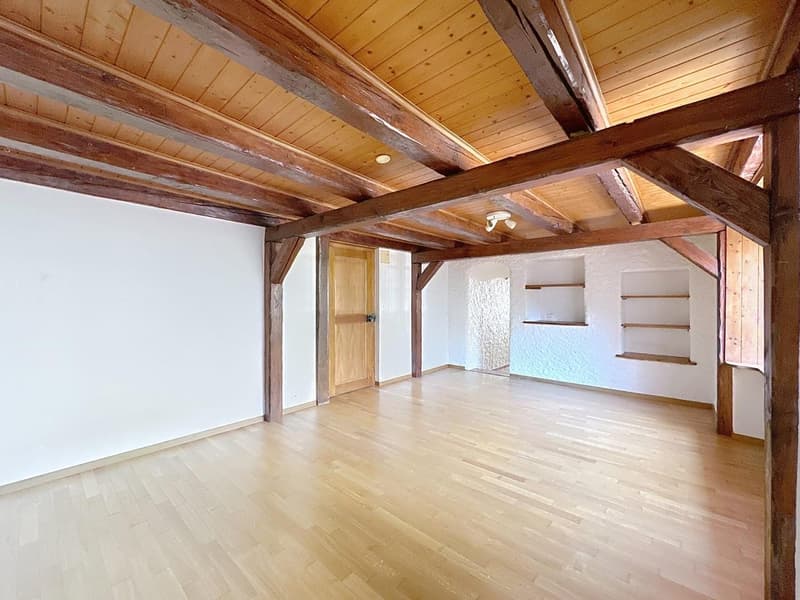Atypical 33 m² studio for rent in Le Mont-sur-Lausanne (2)