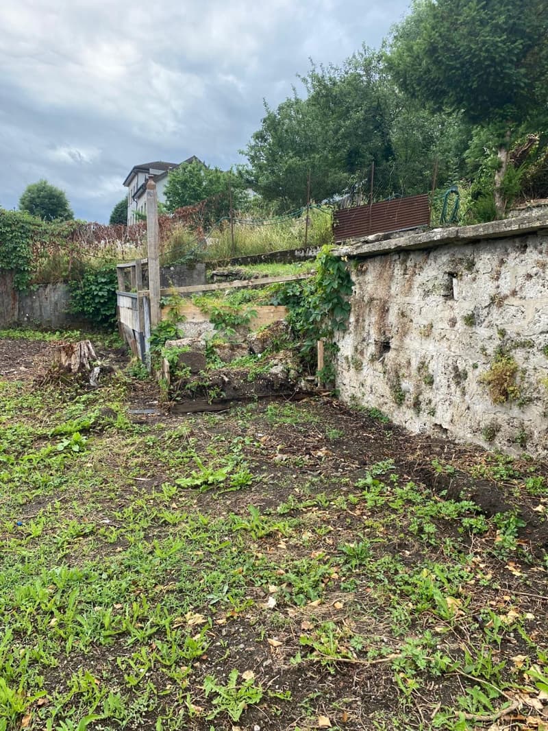 Mehr als zwei Plätze verfügbar! Entdecken Sie einen Garten, einen wahren Friedensort, mitten im Herzen der Stadt Freiburg! (4)