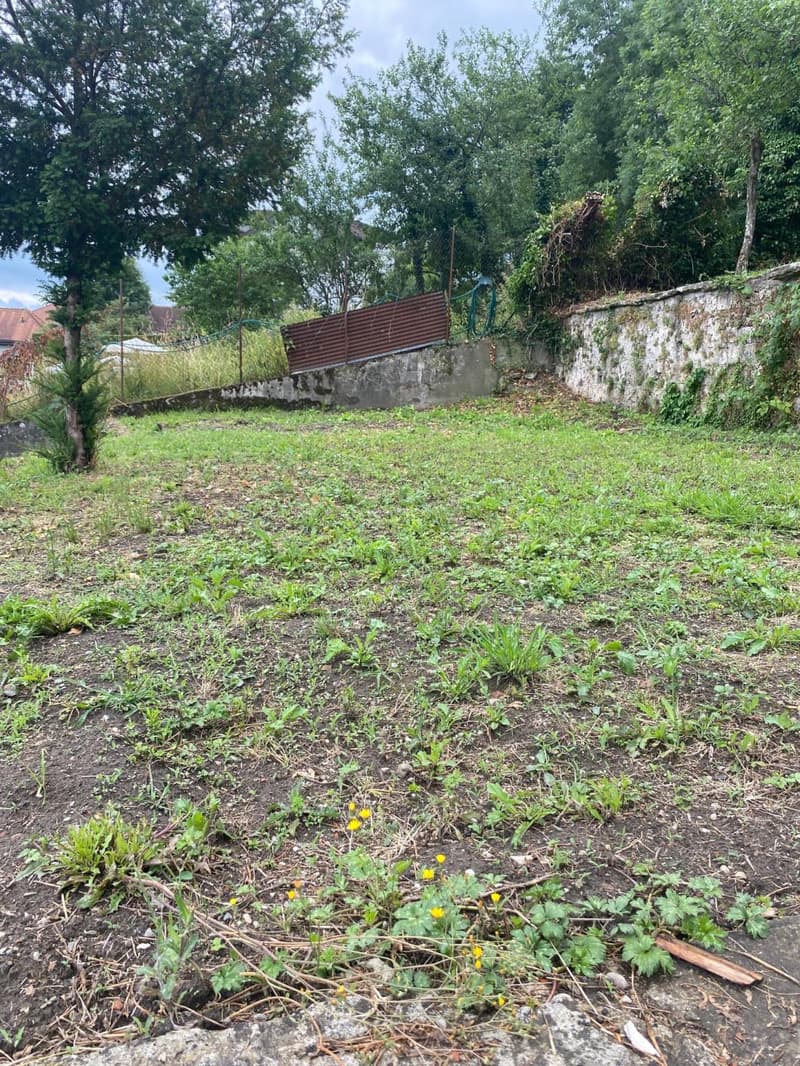 Mehr als zwei Plätze verfügbar! Entdecken Sie einen Garten, einen wahren Friedensort, mitten im Herzen der Stadt Freiburg! (6)