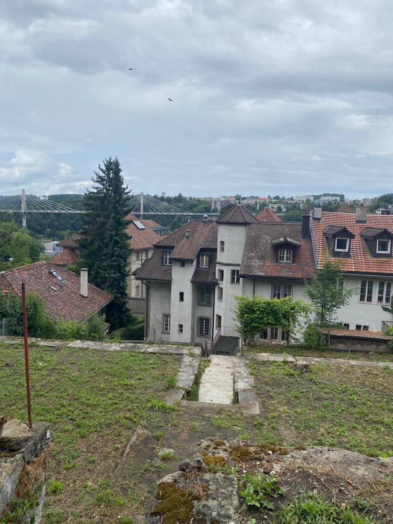 Mehr als zwei Plätze verfügbar! Entdecken Sie einen Garten, einen wahren Friedensort, mitten im Herzen der Stadt Freiburg! (10)