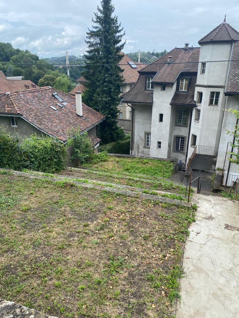 Mehr als zwei Plätze verfügbar! Entdecken Sie einen Garten, einen wahren Friedensort, mitten im Herzen der Stadt Freiburg! (11)