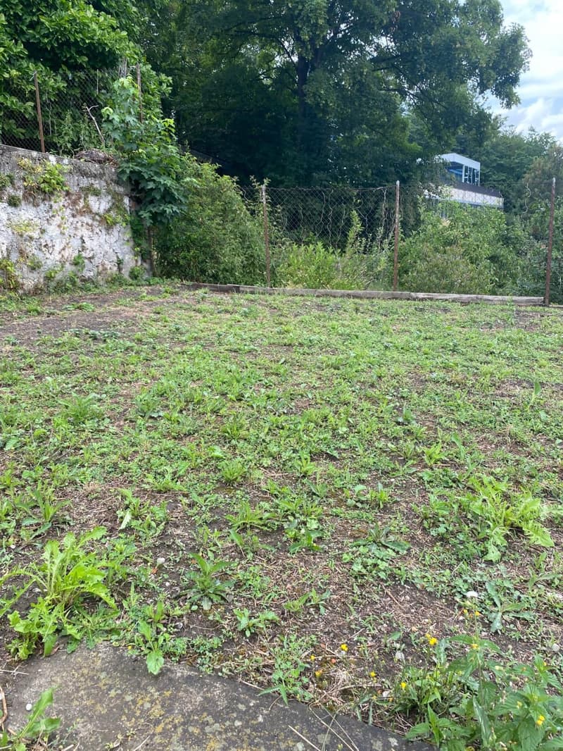 Mehr als zwei Plätze verfügbar! Entdecken Sie einen Garten, einen wahren Friedensort, mitten im Herzen der Stadt Freiburg! (7)