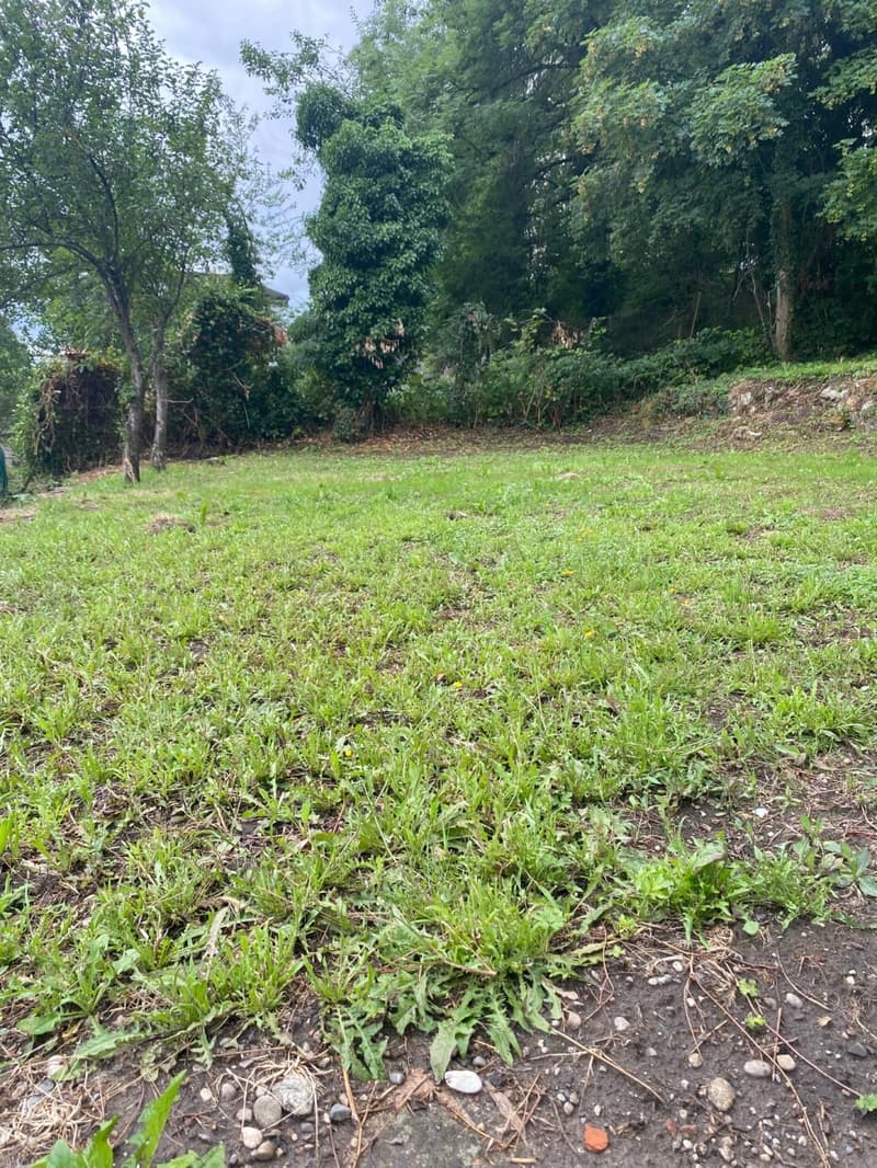 Mehr als zwei Plätze verfügbar! Entdecken Sie einen Garten, einen wahren Friedensort, mitten im Herzen der Stadt Freiburg! (8)