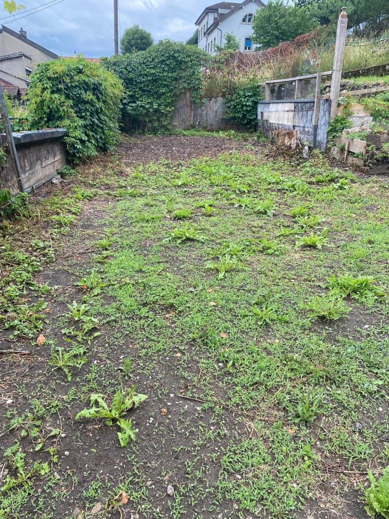 Mehr als zwei Plätze verfügbar! Entdecken Sie einen Garten, einen wahren Friedensort, mitten im Herzen der Stadt Freiburg! (3)