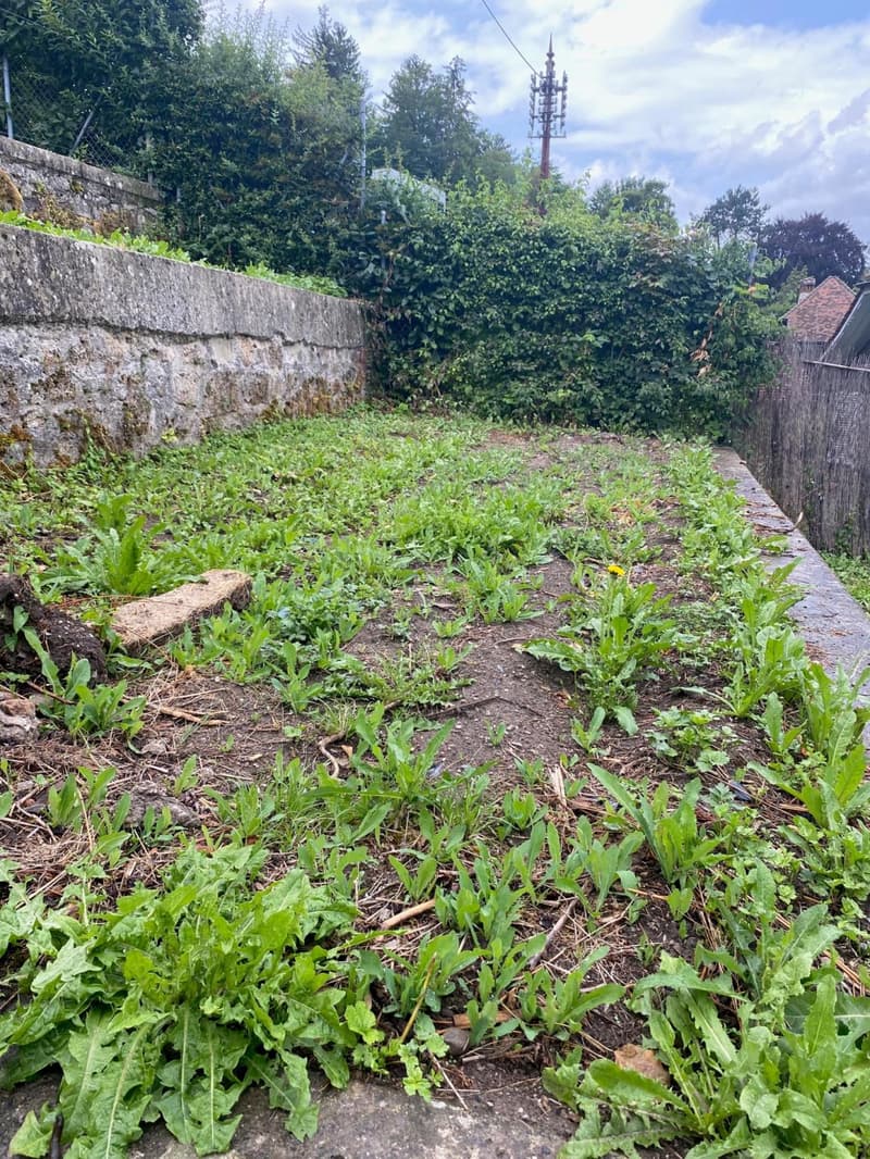 Mehr als zwei Plätze verfügbar! Entdecken Sie einen Garten, einen wahren Friedensort, mitten im Herzen der Stadt Freiburg! (2)