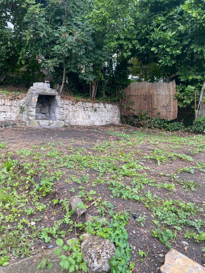 Mehr als zwei Plätze verfügbar! Entdecken Sie einen Garten, einen wahren Friedensort, mitten im Herzen der Stadt Freiburg! (9)