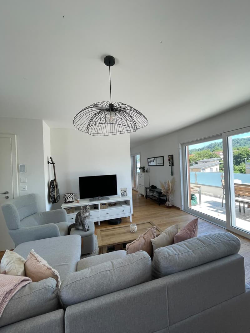 Magnificent spacious and bright apartment for rent in Avenches (3)
