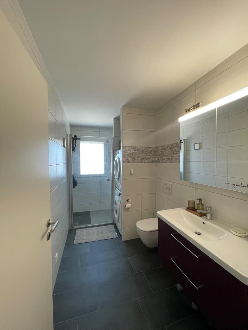 Magnificent spacious and bright apartment for rent in Avenches (7)
